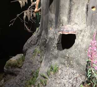 Naturparkzentrum Ruhestein