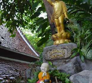 Golden Mount und Wat Saket