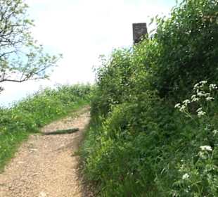 Berg Kornbühl Salmendingen