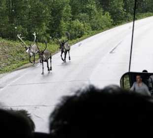 Typische Straßenszene oberhalb des Polarkreises