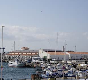 Hafen in Tarifa