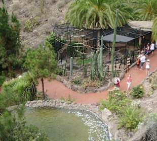 Blick auf den Papageienkäfig