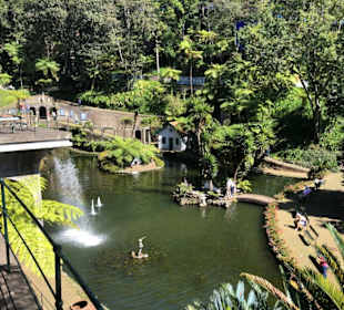 Parque 