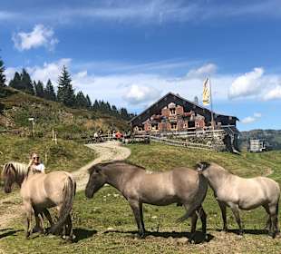 Wandern Balderschwang