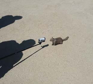 Auf den Spuren der Siedler