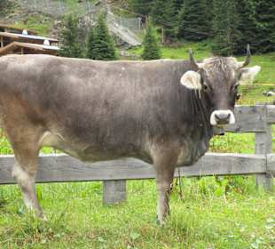 Wandern St. Leonhard