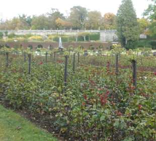 Bummel durch den Hofgarten von Würzburg