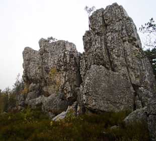 Naturschutzgebiet Großer Pfahl