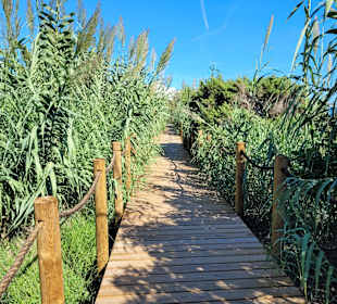 Strand Playa Migjorn