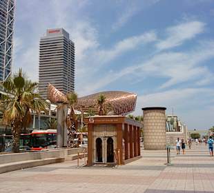 Barceloneta