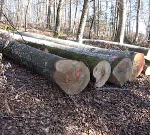 Naturerlebnispfad Meidelstetten