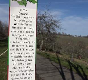 Weinerlebnisweg
