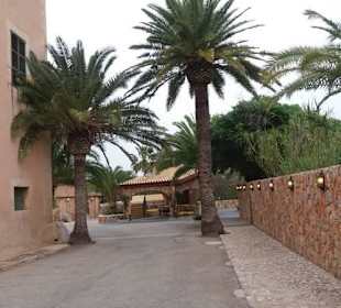 Show in einem wunderbaren Ambiente