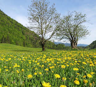 Wanderausflug in der Nähe
