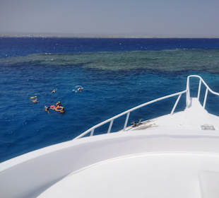 Schnorcheln Marsa Alam