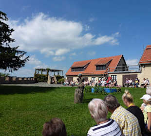 Burg Falkenstein