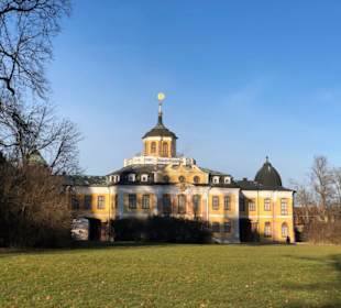 Schloss Belvedere vom Park aus