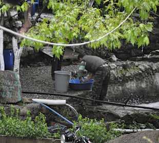 Hoch im Taurus Forellen