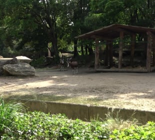 Zoo Heidelberg