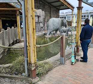 Abenteuer Dschungelland