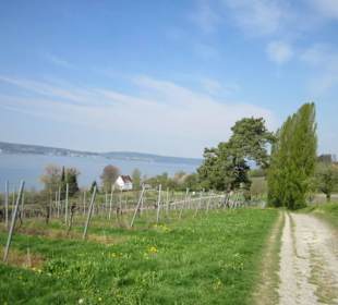 Wallfahrtskirche Birnau