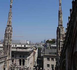 Ausblick