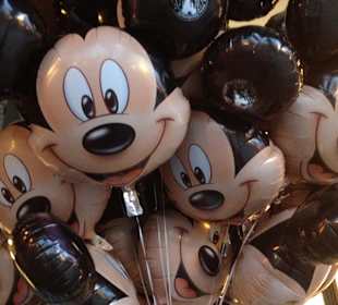 Disneyland Resort Paris / Euro Disney 