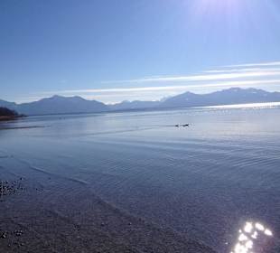 Der Chiemsee in unmittelbarer Umgebung