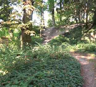 Leibfriedscher Garten