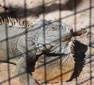 Sieht irgendwie unheimlich aus oder?