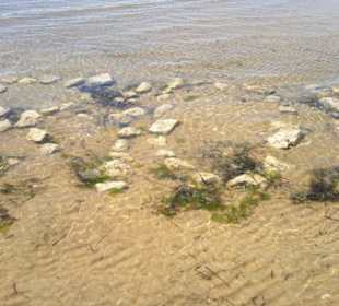 Strand in Bibione Juni 2012