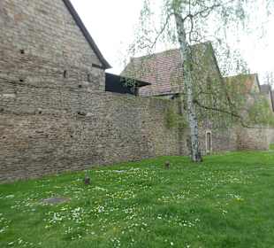 Bummel entlang der Stadtmauer von Bad Orb