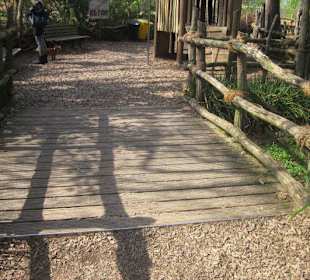 Zoo Heidelberg 