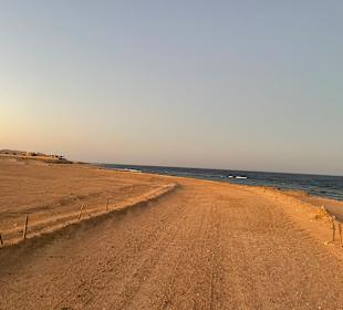 Quad Tour Marsa Alam