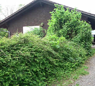 Tennisanlage Loßburg