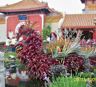 Impression: Chinesischer Drache