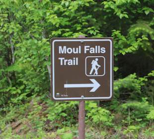 ...der trail ist sehr schön...