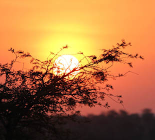 Sonnenuntergang über der Steppe