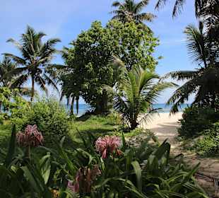 Anse Severa