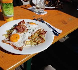 Gastro