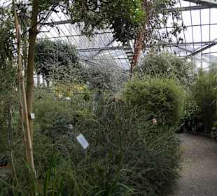 Anlage Planten un Blomen