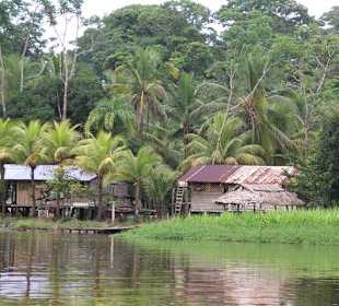 Tortuguero Nationalpark