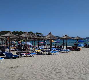 Strand Paguera/Peguera