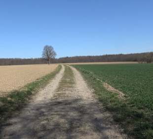 Schloss Einsiedel