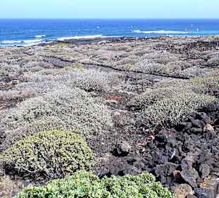 Inselrundfahrt AIDA Tagestour