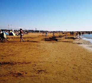 Am Strand entlang Kumköy-Evrenseki-Colakli