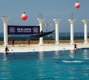 Alanya