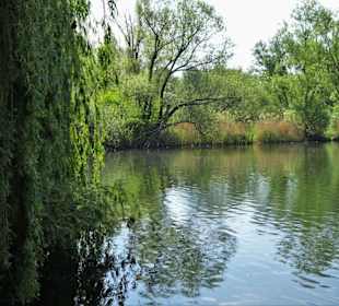 Impressionen vom Rundgang um den Südsee