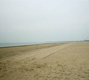 La spaiggia in autunno