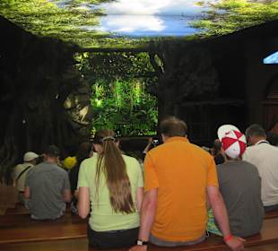 Loro Parque **Loro Show**